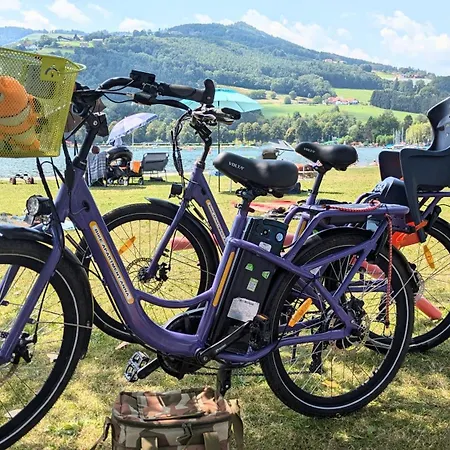Zwei Schlafzimmer Ferienapartment Anna Am Stubenbergsee Inklusive Vier E-bikes * Stubenberg
